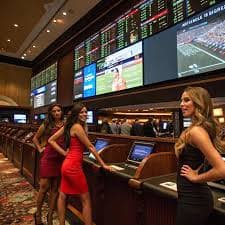 55bet com