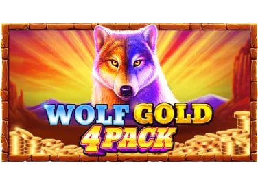 55bet com