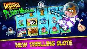55bet com